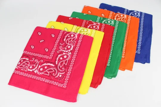 Bandanas Pañuelos Clasicos Pasley - Imagen 10