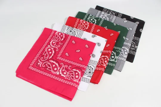 Bandanas Pañuelos Clasicos Pasley - Imagen 11