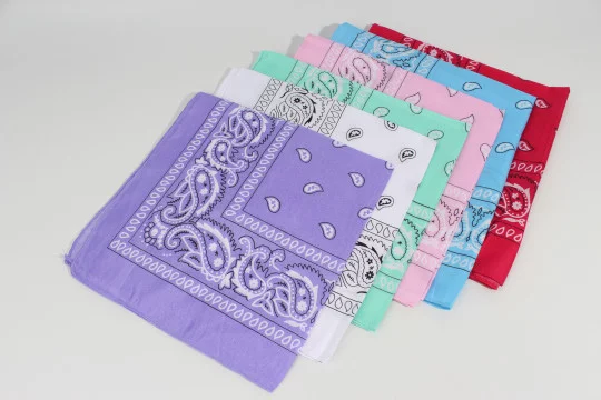 Bandanas Pañuelos Clasicos Pasley - Imagen 12