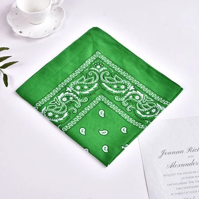 Bandanas Pañuelos Clasicos Pasley - Imagen 13