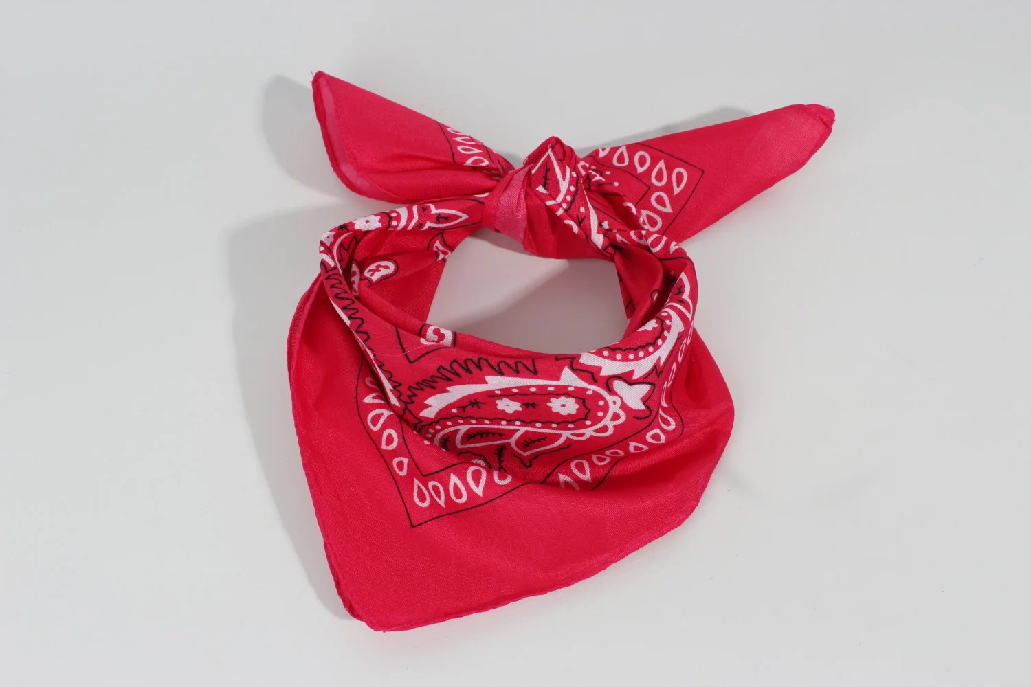 Bandanas Pañuelos Clasicos Pasley - Imagen 14