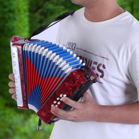 Acordeon Infantil 17 teclas 8 bajos - Imagen 6