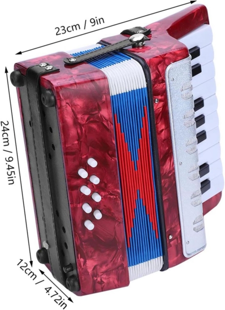 Acordeon Infantil 17 teclas 8 bajos - Imagen 8