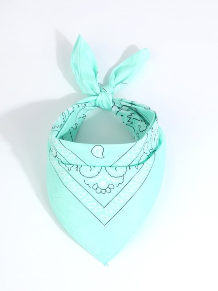 Pañuelo Bandana Pasley - Imagen 13