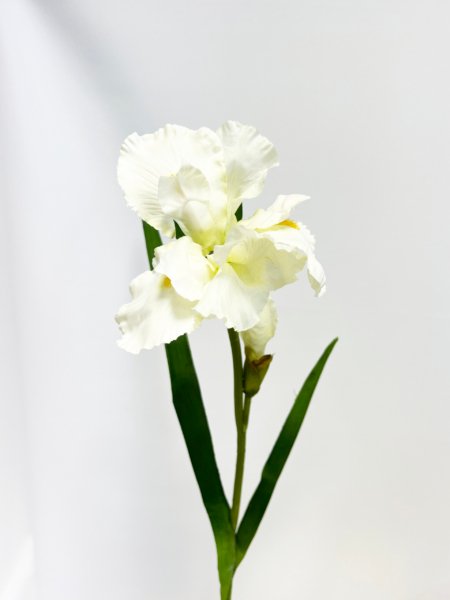 Vara flor Iris - Imagen 6