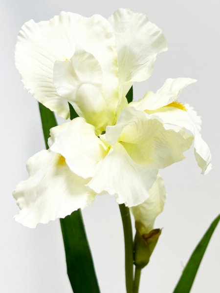 Vara flor Iris - Imagen 7