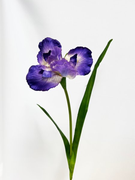 Vara flor Iris - Imagen 3