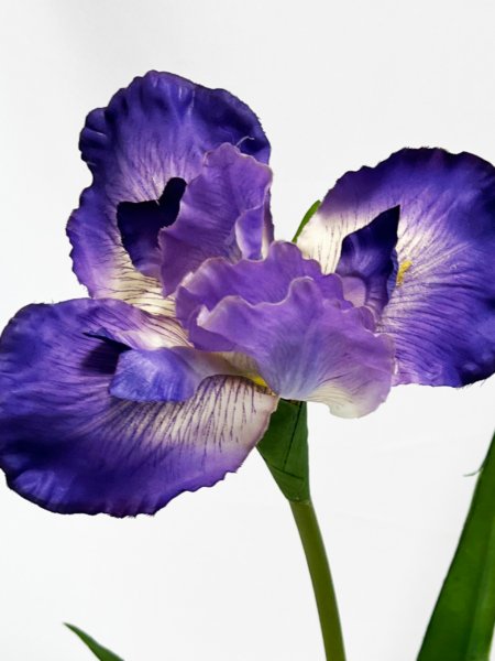Vara flor Iris - Imagen 4