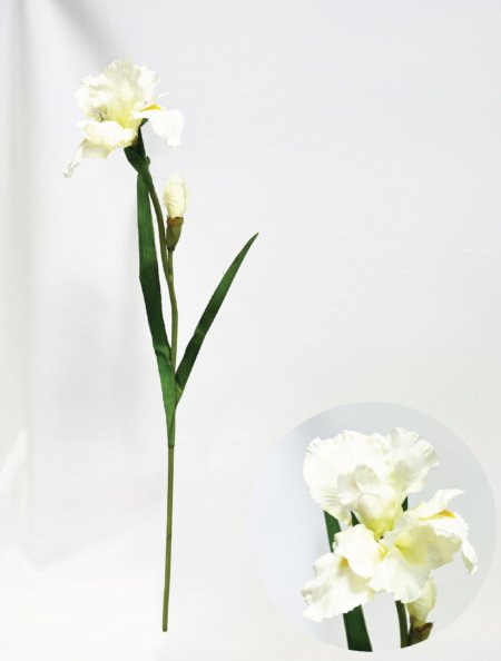 Vara flor Iris - Imagen 5
