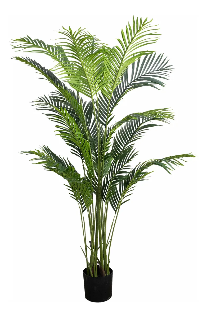 Planta Areca Palmera real touch 180 cm alto