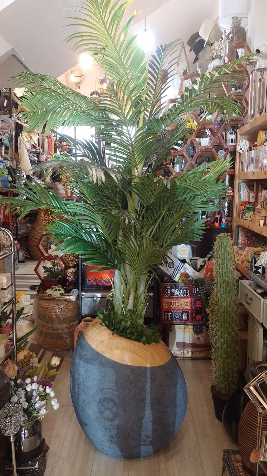 Planta Areca Palmera real touch 180 cm alto - Imagen 3