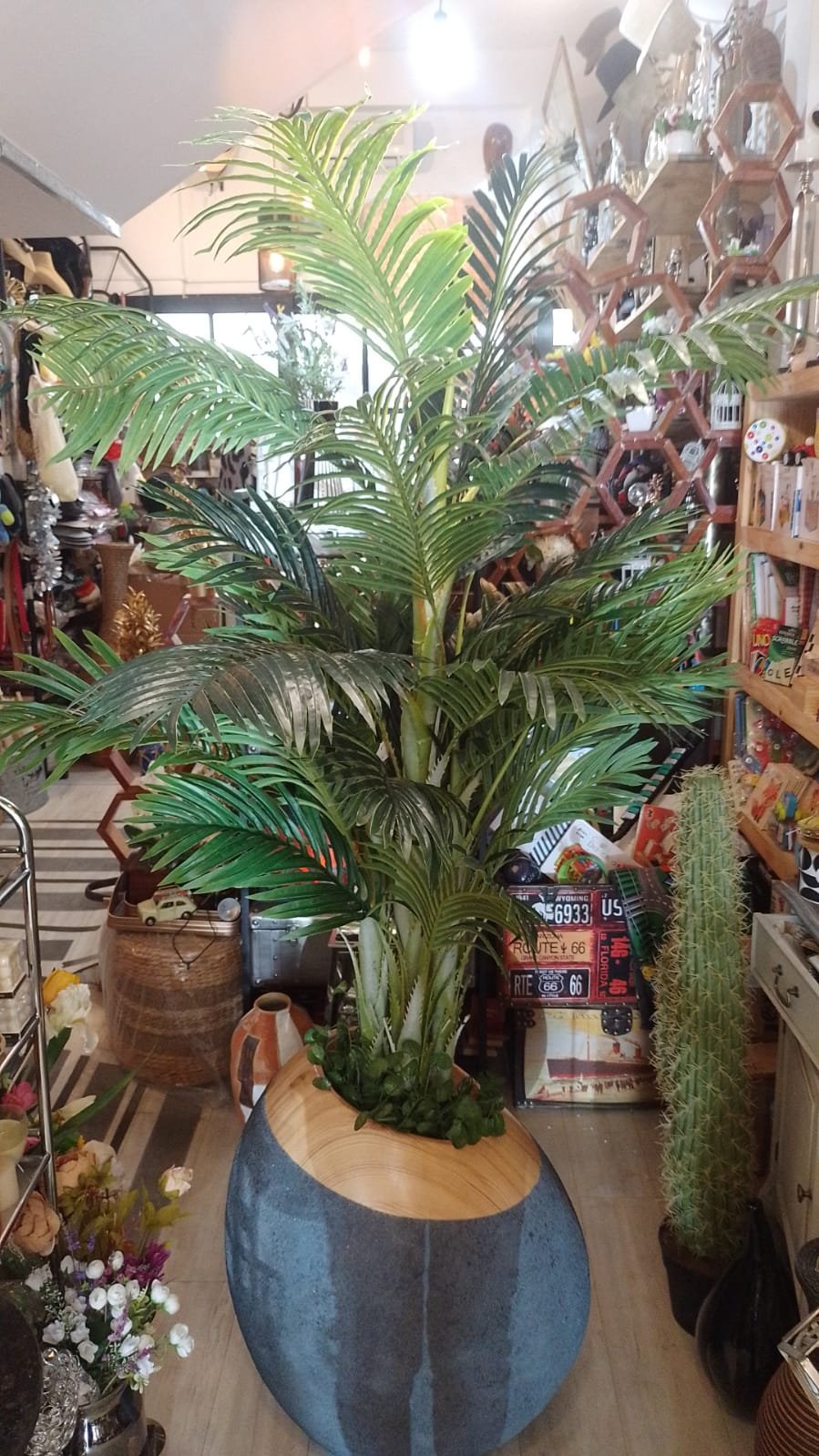 Planta Areca Palmera real touch 180 cm alto - Imagen 4