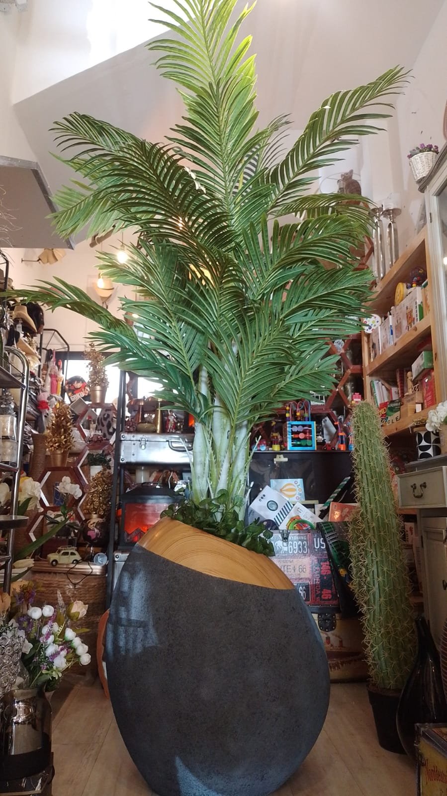 Planta Areca Palmera real touch 180 cm alto - Imagen 5