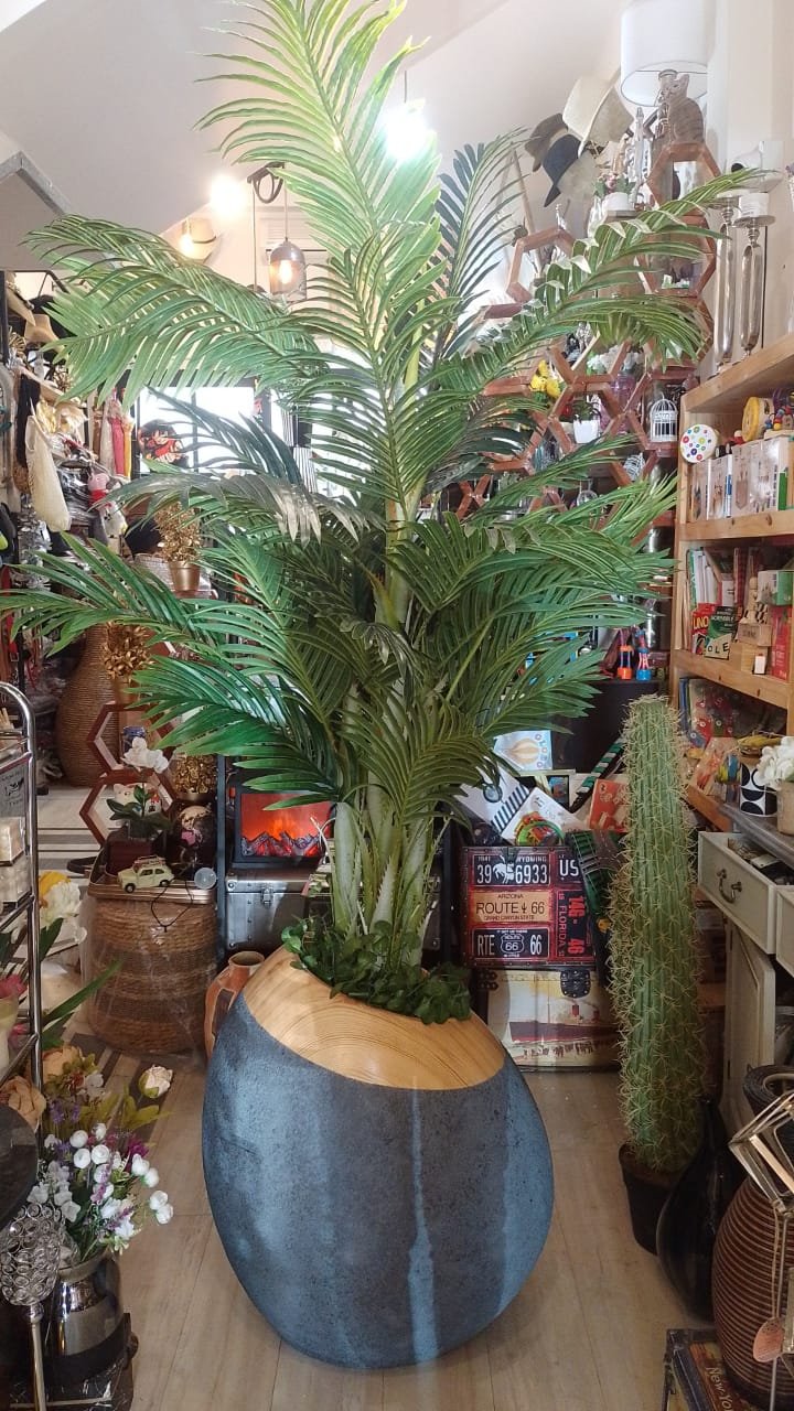 Planta Areca Palmera real touch 180 cm alto - Imagen 6